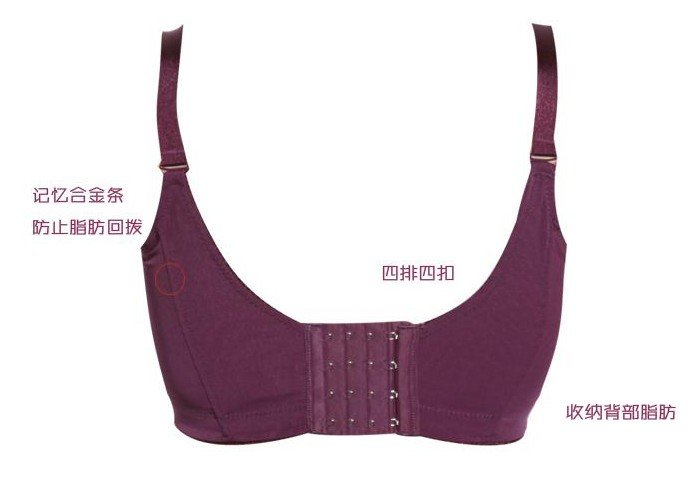 Bra 2015 purple 6.jpg