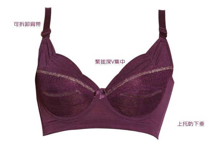 Bra 2015 purple 5.jpg