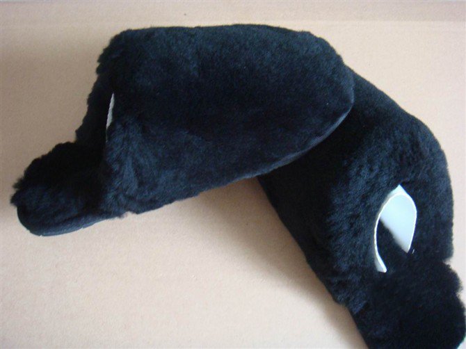 201008170013371716.jpg