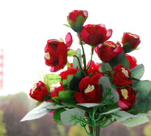 14296_P_1302862497460