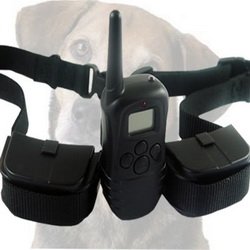 WZDG-5998E-2.jpg