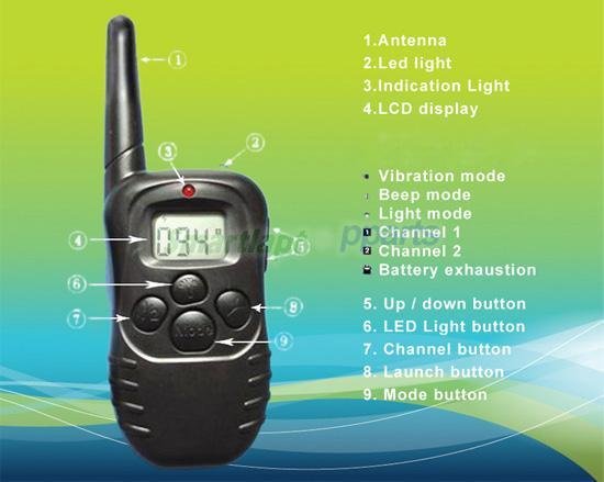 WZDG-5998D 1 (1).JPG