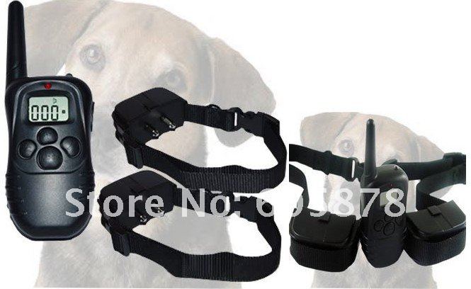 dog 2-5.jpg