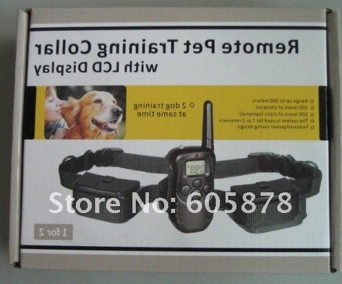dog 2-1.jpg