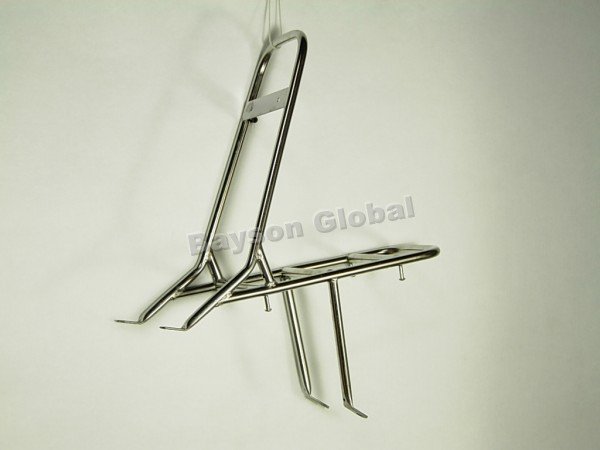 Stainless Steel With Two Feet Silver Scooters