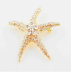 Zinc Alloy Metal Rhinestone Pentagram Design Eco-friendly Lead Free Brooch