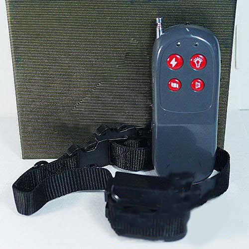 Wholesale 4in 1 Remote Small / Med Dog Training Shock + Vibrate Collar