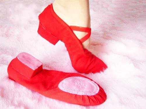 Women's Dance Shoes Ballroom Shoes Low Heel Shoes
