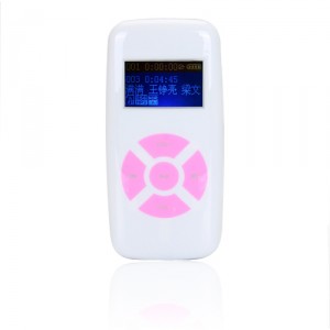 Amanda49 A181FM 2G Super Long Standby USB 2.0 FM MP3 Media Player