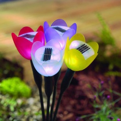 Amanda49 CIS-41553 Pretty Tulip-style LED Solar Light for Garden Lawn