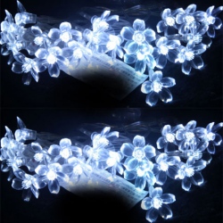 Amanda49 CIS-84008 Lovely Christmas Decorate White LED String Lamp with 2.5M 20 Plum Blossom Leds