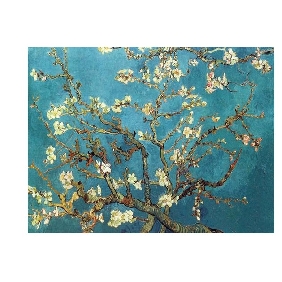 Apricot Flowers Canvas Oil Painting World Famous Paintings