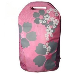 Unisex Pink Canves 15" Laptop Nackpack