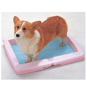 Dog Latrine Medium-sized Dog Toilet