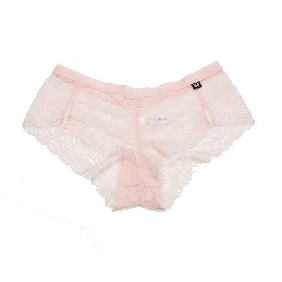 Women Lace Breathing Sexy Embroidered Panties
