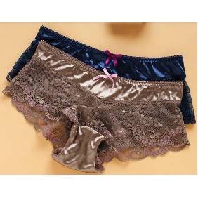 Women Lace Transparent Mesh Noble Satin Panties