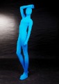 Female Sexy Fullbody Blue Spandex Unisex Catsuit