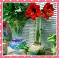 8 Colors Water Beads Crystal Soil