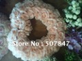 Heart-shaped Rose Wreaths Decorative Flowers Wedding Bouquet