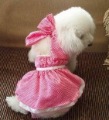 Spring and Summer Lace Bow Pet Clothing