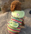 Pet Winter Rainbow Woolen Sweater