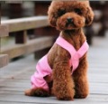 Japan PetsInn Wild Eco-Friendly Stocked Dog Clothes