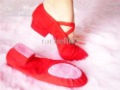 Women's Dance Shoes Ballroom Shoes Low Heel Shoes