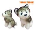 High-class Plush Cute and Vivid Siberian Husky Purpy Toy