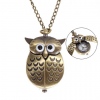 Amanda49 Style Europe Owl Design Copper Pocket Watch with Cover （White Dial）