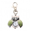 Amanda49 Fashionable Type of Owl Pocket Quartz Watch with Key Chain (Green)