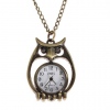 Amanda49 Style DBS Europe Cat Design Copper Pocket Watch