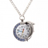 Amanda49 Style Europe Dolphin Design Pocket Watch with Blue Rhinestones
