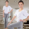 Amanda49 Summer New Arrival Top Grade White Blouse and Gray Trousers Yoga Clothing Dance Suit