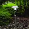 Amanda49 Best Quality 2-LED Super Bright White Light Solar LED Garden and Lawn Light (CIS-41221)