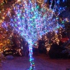 images/v/20111103/1320308733_559.jpg