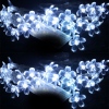 Amanda49 CIS-84008 Lovely Christmas Decorate White LED String Lamp with 2.5M 20 Plum Blossom Leds