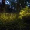 images/v/20111103/1320308773_363.jpg
