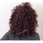 images/v/20120108/13260124460.jpg