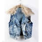 images/v/20120202/13281736993.jpg