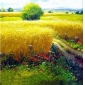 Framed Wheat Garden Restaurant Landscape Oil Painting