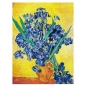 Rimless Canvas Van Gogh Irises Flower Oil Painting