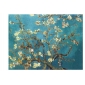 Apricot Flowers Canvas Oil Painting World Famous Paintings