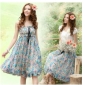 New Spring Ladies' Chiffon Lace Floral Dresses
