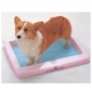 Dog Latrine Medium-sized Dog Toilet